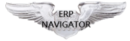 ERP Manager